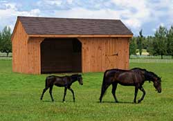 Single horse run inn w/ tack room