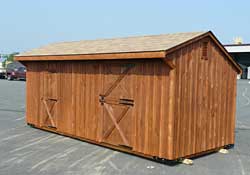 Mr Shed Horse Run Ins
